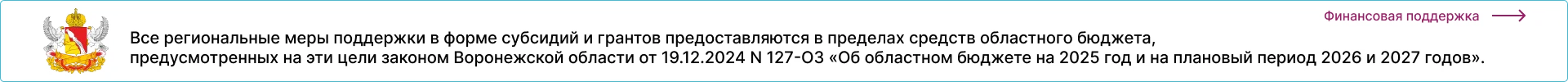 Финансирование мер поддержки